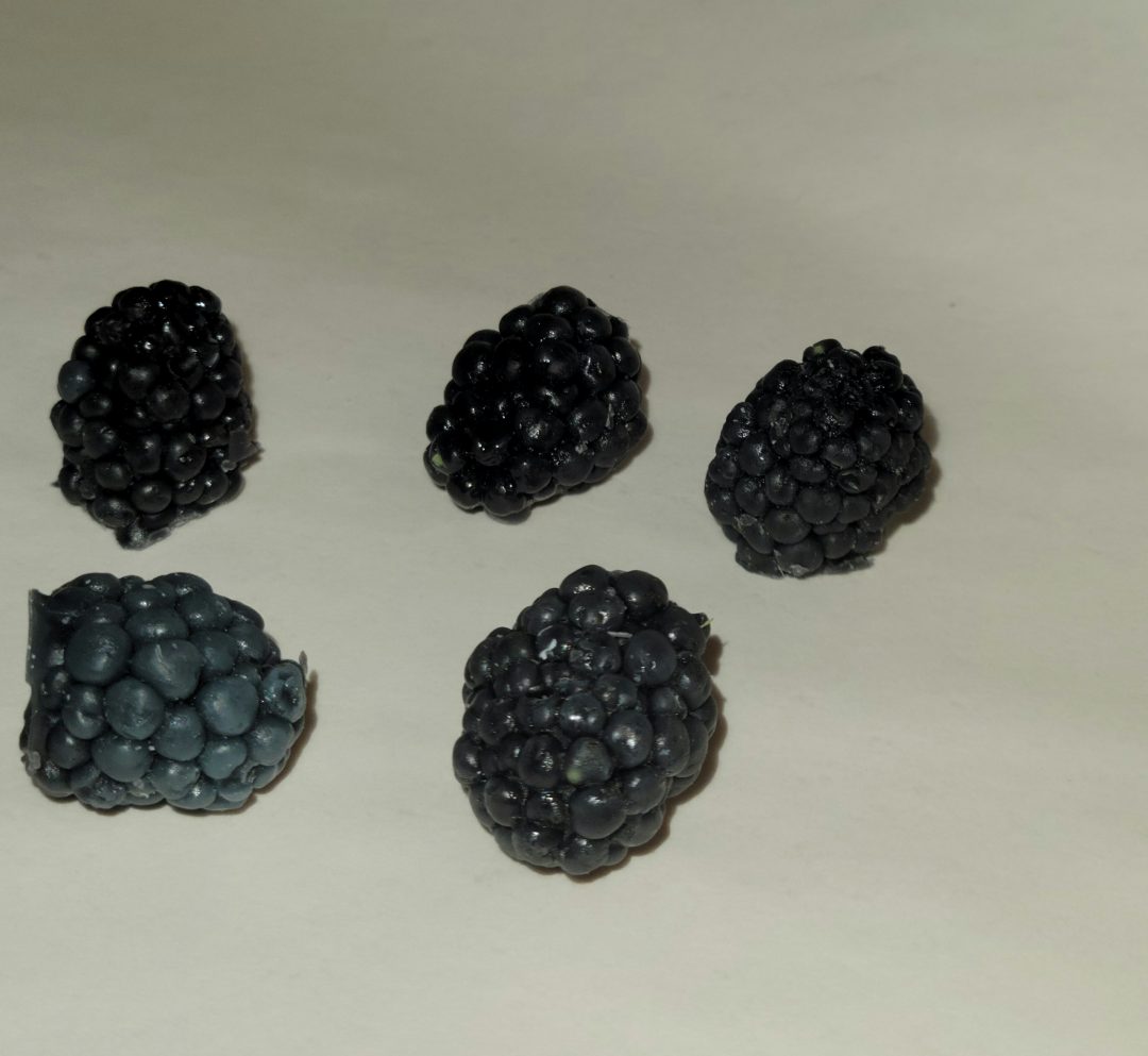 Blackberries Soap & Candle Mold